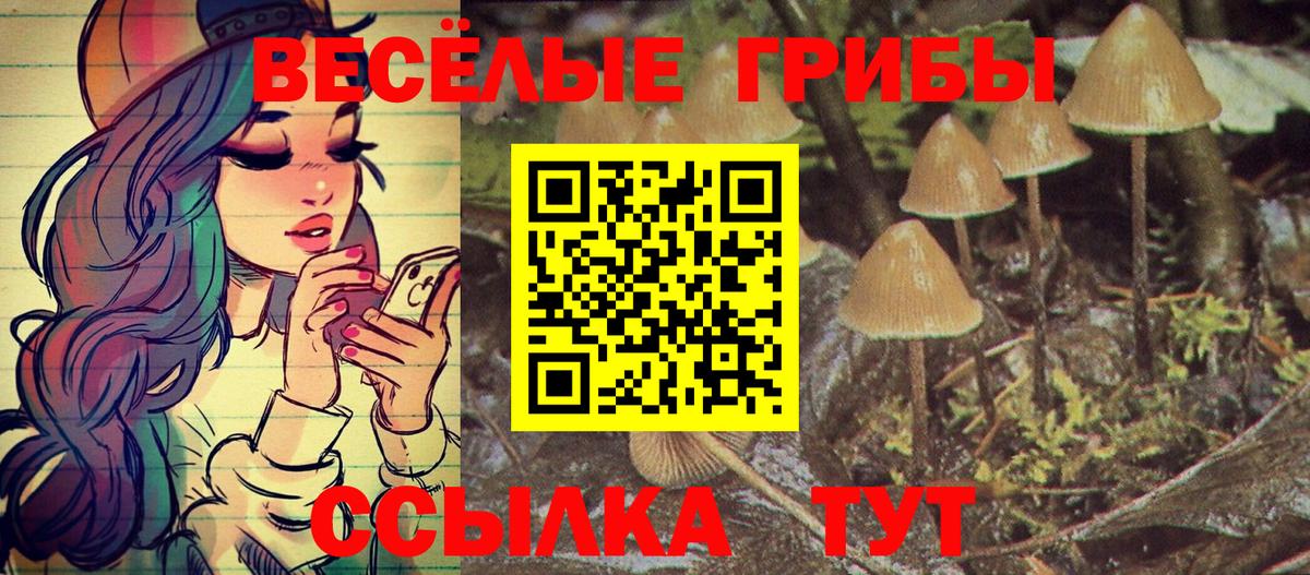 Галлюциногенные грибы Magic Shrooms  Вход с VPN  Сатка 