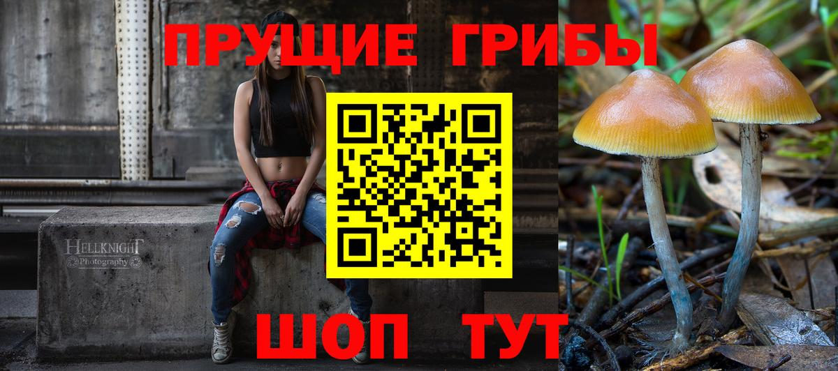 Псилоцибиновые грибы Psilocybe Сатка